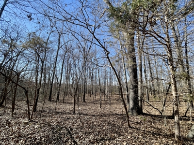 Creekfront Land for Sale in Highland, AR - image 19