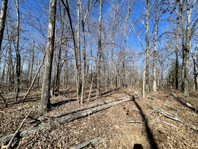 Creekfront Land for Sale in Highland, AR - image 17