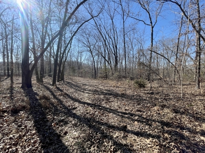 Creekfront Land for Sale in Highland, AR - image 20