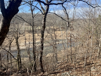Creekfront Land for Sale in Highland, AR - image 5