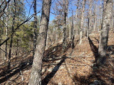 Creekfront Land for Sale in Highland, AR - image 12