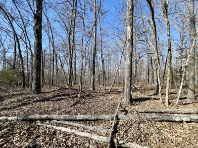 Creekfront Land for Sale in Highland, AR - image 18