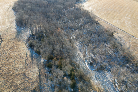 65± Acres | Monroe County, Iowa | Near Eddyville - image 36