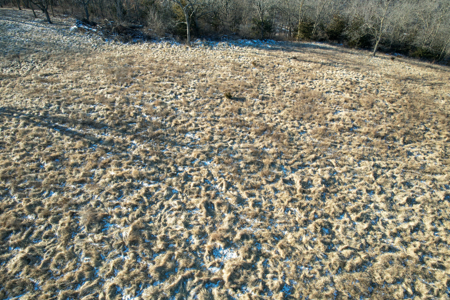 65± Acres | Monroe County, Iowa | Near Eddyville - image 31