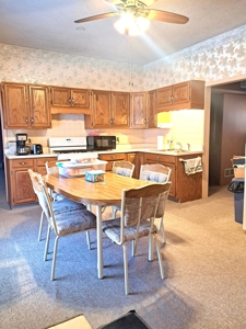 Cozy Albia Iowa Move In Ready Home For Sale - image 10