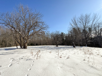 Chalet on 192 Acres with Stunning Mountain and Water Views - image 9