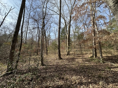 East Texas Hunting/Recreational Tract For Sale - image 8