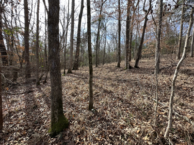 East Texas Hunting/Recreational Tract For Sale - image 19
