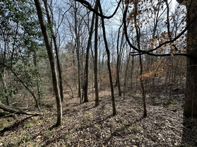 East Texas Hunting/Recreational Tract For Sale - image 4