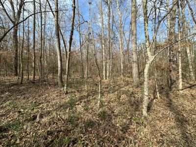East Texas Hunting/Recreational Tract For Sale - image 23