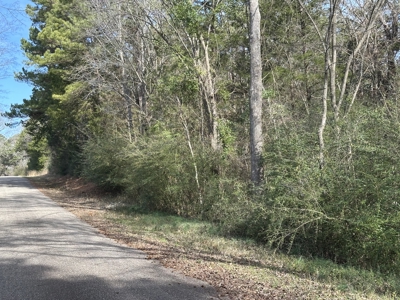 East Texas Hunting/Recreational Tract For Sale - image 3