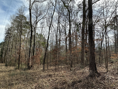 East Texas Hunting/Recreational Tract For Sale - image 16