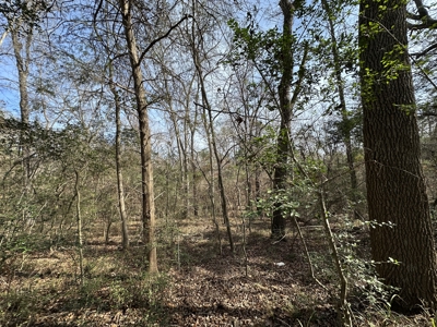 East Texas Hunting/Recreational Tract For Sale - image 11