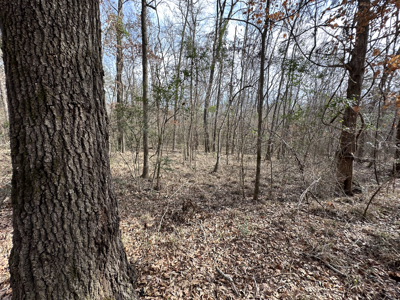 East Texas Hunting/Recreational Tract For Sale - image 20