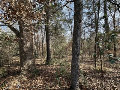 East Texas Hunting/Recreational Tract For Sale - image 12