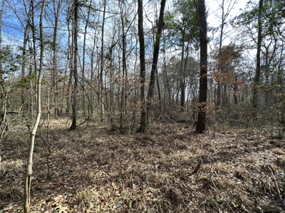 East Texas Hunting/Recreational Tract For Sale - image 24