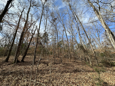 East Texas Hunting/Recreational Tract For Sale - image 18