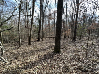 East Texas Hunting/Recreational Tract For Sale - image 21
