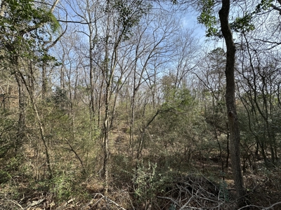 East Texas Hunting/Recreational Tract For Sale - image 13