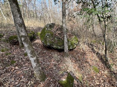 East Texas Hunting/Recreational Tract For Sale - image 15