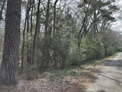 East Texas Hunting/Recreational Tract For Sale - image 2