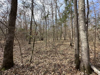 East Texas Hunting/Recreational Tract For Sale - image 22
