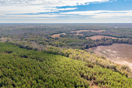 Lakefront Home for Sale on 69.5 Acres in Live Oak, FL - image 31