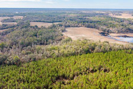 Lakefront Home for Sale on 69.5 Acres in Live Oak, FL - image 33