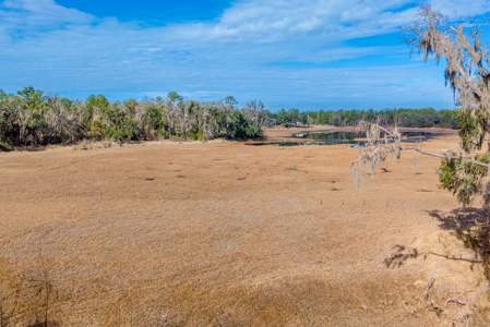 Lakefront Home for Sale on 69.5 Acres in Live Oak, FL - image 38