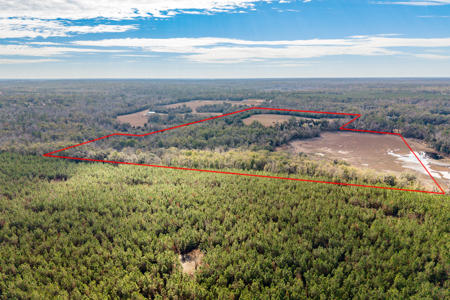 Lakefront Home for Sale on 69.5 Acres in Live Oak, FL - image 3
