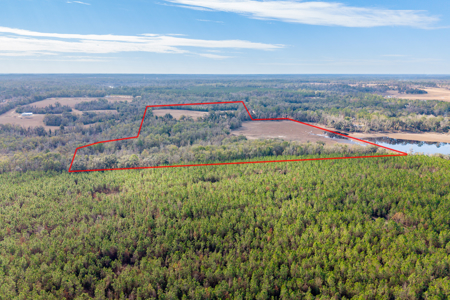 Lakefront Home for Sale on 69.5 Acres in Live Oak, FL - image 32