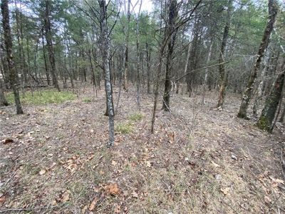 3 Building Lots/Land Bull Shoals Lake, Diamond City For Sale - image 1
