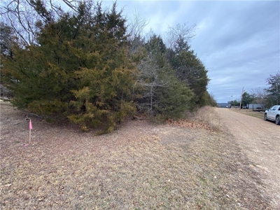 3 Building Lots/Land Bull Shoals Lake, Diamond City For Sale - image 3