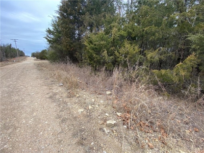 3 Building Lots/Land Bull Shoals Lake, Diamond City For Sale - image 5
