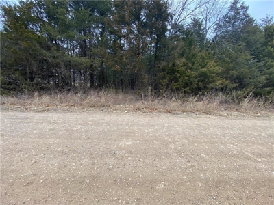 3 Building Lots/Land Bull Shoals Lake, Diamond City For Sale - image 4
