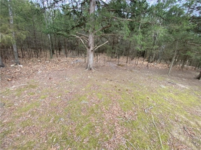 3 Building Lots/Land Bull Shoals Lake, Diamond City For Sale - image 2