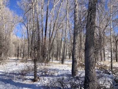 Beautiful 4 Bedroom Home With Private River Access - image 14