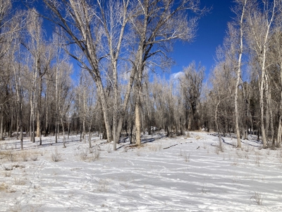 Beautiful 4 Bedroom Home With Private River Access - image 6