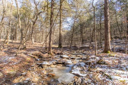 5 Acre of Prime Hunting  - Owner Financing! - image 2