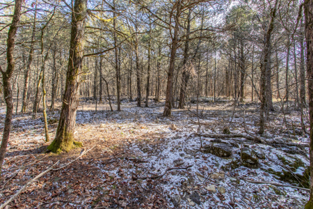 5 Acre of Prime Hunting  - Owner Financing! - image 1