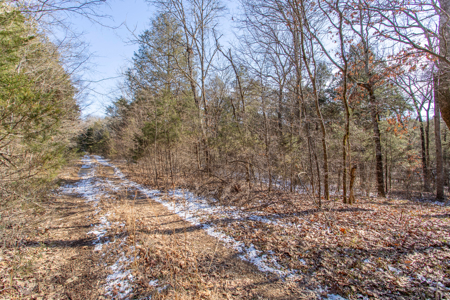 5 Acre of Prime Hunting  - Owner Financing! - image 4