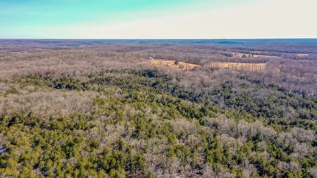 5 Acre of Prime Hunting  - Owner Financing! - image 3