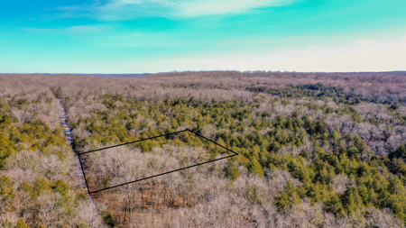 5 Acre of Prime Hunting  - Owner Financing! - image 5