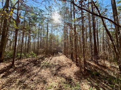 Union County Country Home with Acreage - image 25