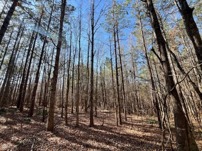 Union County Country Home with Acreage - image 16