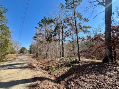 Union County Country Home with Acreage - image 5