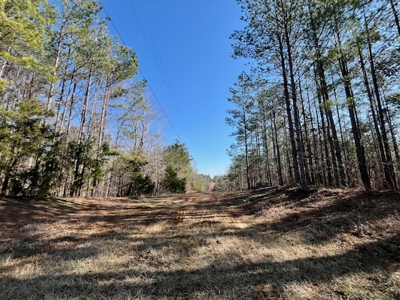 Union County Country Home with Acreage - image 14