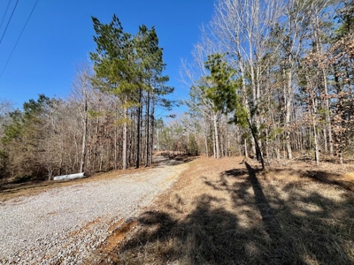 Union County Country Home with Acreage - image 15