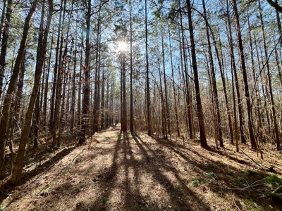 Union County Country Home with Acreage - image 22