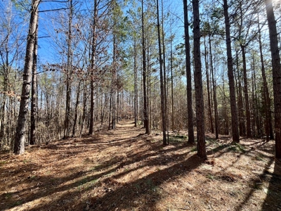Union County Country Home with Acreage - image 31